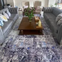 فرش ماشینی زانیس کمتر از ۶ ماه استفاده شده