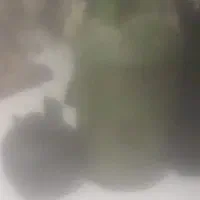 کپسول جیرفت گاز وپکنیک