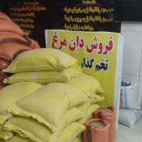 مجموعه دکتر مرغ خریدوفروش دان بوقلمون بلدرچین جوجه
