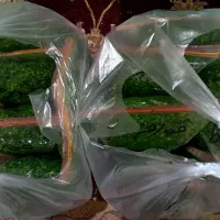 سبزیجات بهشت
