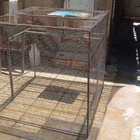 قفس مرغ و کفتر