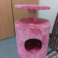اسکرچرگربه