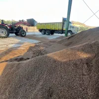 کارگر بارگیری و تخلیه