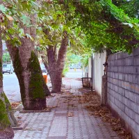 170متر-زمین-سنددار-فرعی-تاپ-امام-رضا