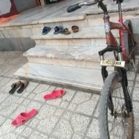دوچرخه ۲۴|دوچرخه، اسکیت، اسکوتر|فاضل آباد, |دیوار