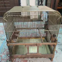 قفس برنجی کلکسیونی