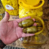 بادمجان با سرکه خانگی شکم پر