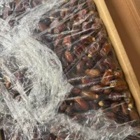 خرما استعمران (سایر)