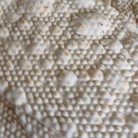 نمایندگی رسمی آذریاپ طیب کاوندی