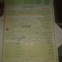 مدارک گم شده