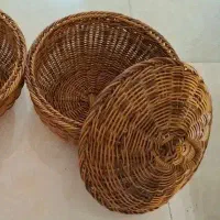 انواع مختلف