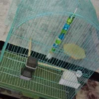 قفس پرنده با تاب و وسایل داخل