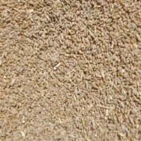 فروش گندم  جو
