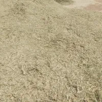 یونجه خشک قیمت مناسب