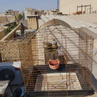 وسایل استوک پژویی