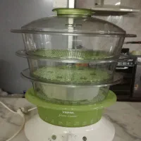 بخار پز تفال