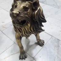 شیر برنزی