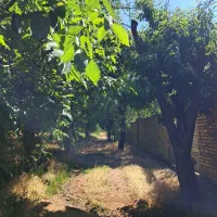 زمین ویلایی مسکونی* عقیل آباد*