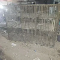 جفتگا|لوازم جانبی حیوانات|کرمان, |دیوار