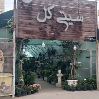 گلخونه سیتی گل / با عنوان گل های آپارتمانی