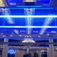 حشره کش چینی راه قبول ندارم