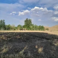 فروش زمین کشاورزی با اب از چاه برقی