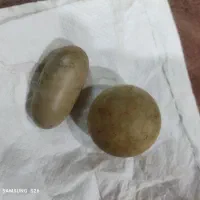 سنگهای کلکسیونی