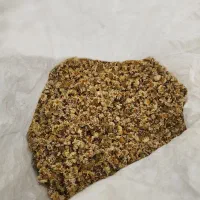 بابونه کوهی خلخال