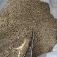 دان مرغ  تخم گذار و گوشتی