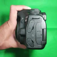 canon 80D 18-135USM|دوربین عکاسی و فیلمبرداری|مشهد, ده دی|دیوار