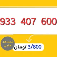 0933-407-6007