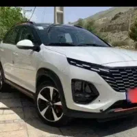 x33cross