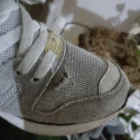 zx8000 فیلی|کیف، کفش، کمربند|تهران, صاحب الزمان|دیوار