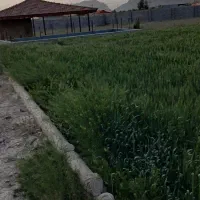 زمین ۱۴۰۰ متری