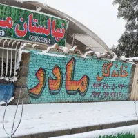 استخدام فروشنده