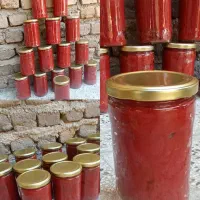 رب خونگی بهداشتی