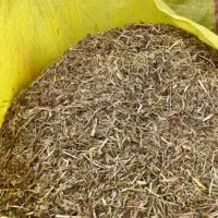 فروش کاه گاو دانه یا کروشنه در نمین