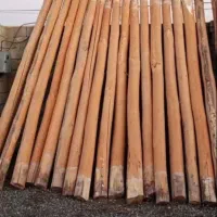 خرید چوب سقفی و ریشه درخت