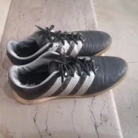 کتانی سالن سایز44