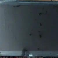 تلوزیون سام ۳۲اینچ