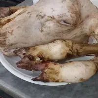 کله و پاچه