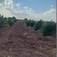 باغ آبی ماهیدشت ۱۰۰۰ متر