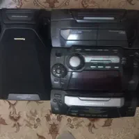 ظبط