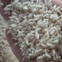 برنج|خوردنی و آشامیدنی|نوشهر, |دیوار