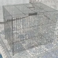 قفس وسینی قفس کوچک