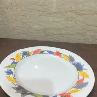 بشقاب ملامین