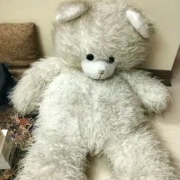 اسباب بازی خرس خرگوش