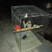 قفس کاسکوییه 1033 ضخیم