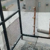 قفس|لوازم جانبی حیوانات|چابهار, |دیوار