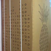 یخچال فریزر کمبی پاکشوما آکبند